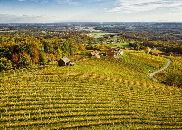 Weingärten Klöch im goldenen Herbst | © Thermen- & Vulkanland | pixelmaker.at