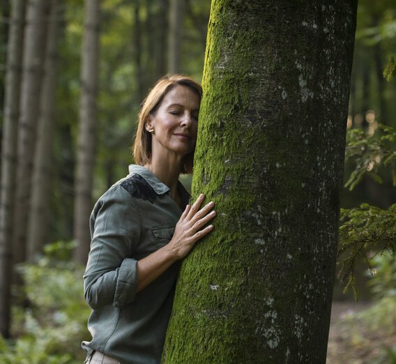 Auszeit im Wald in Bad Waltersdorf | © STG | Punkt & Komma