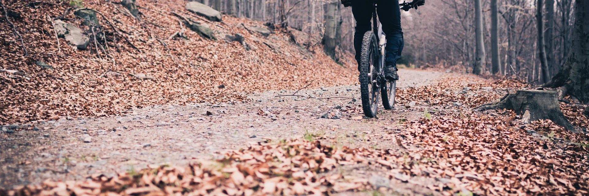 Auch bei kühleren Temperaturen steht einer Radtour in der Steiermark nichts im Weg | © iStock.com, blyjak | Blazej Lyjak Auch bei kühleren Temperaturen steht einer Radtour in der Steiermark nichts im Weg | © iStock.com, blyjak | Blazej Lyjak