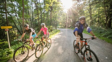 Cycling through the UNESCO Biosphere Park in the Mura meadows | © Thermen- & Vulkanland | Harald Eisenberger