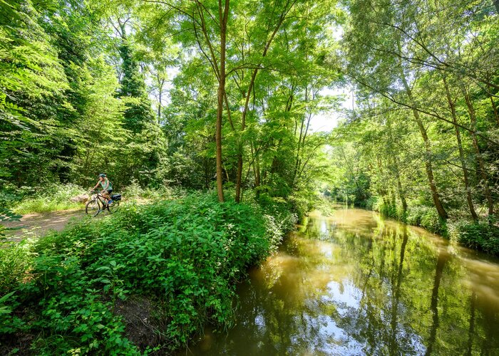 Cycling in the Murauen | pixelmaker.at | © Tourismusverband Thermen- & Vulkanland | pixelmaker.at