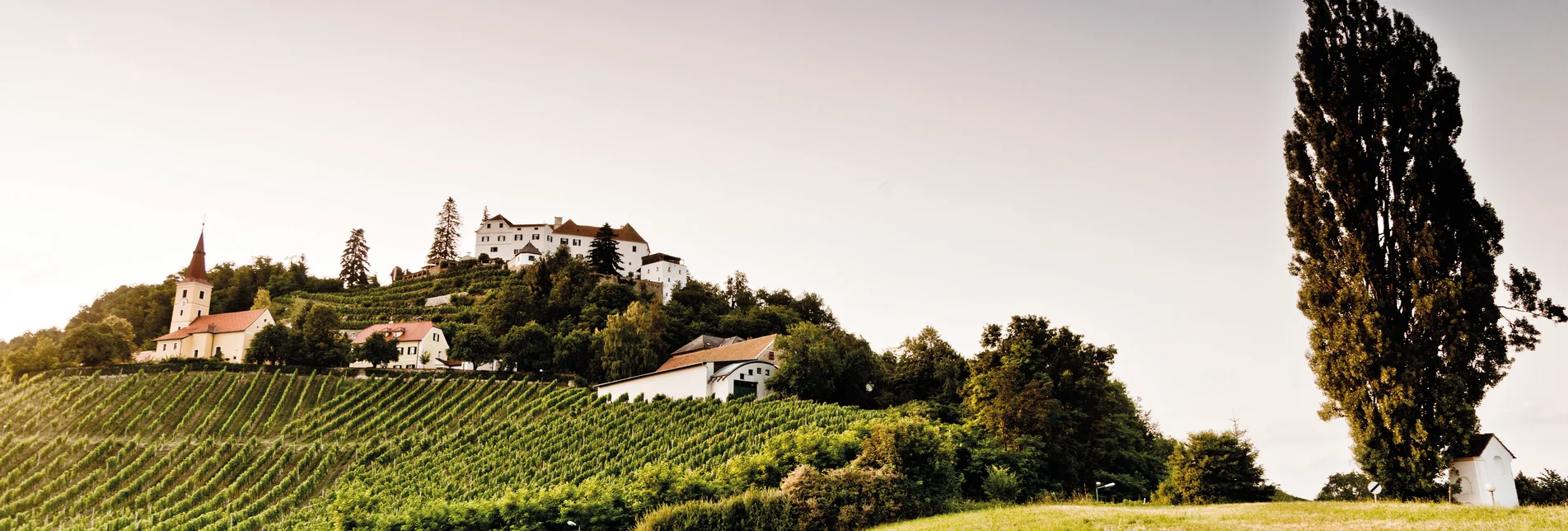 Schloss Kapfenstein im Thermen- & Vulkanland im Südosten der Steiermark