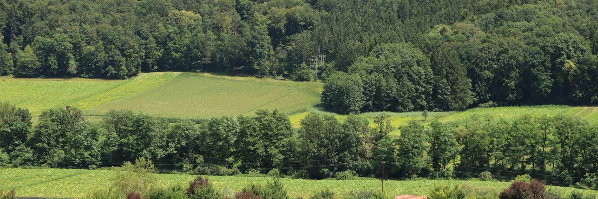 Fündig wurden sie schneller als gedacht, denn das idyllische Plätzchen in Petersdorf war das erste Grundstück, das sie besichtigten. Den beiden Tirolern war von Anfang an klar, dass es diese Region werden sollte. | © Antonia Gutzwar | © Antonia Gutzwar Fündig wurden sie schneller als gedacht, denn das idyllische Plätzchen in Petersdorf war das erste Grundstück, das sie besichtigten. Den beiden Tirolern war von Anfang an klar, dass es diese Region werden sollte. | © Antonia Gutzwar | © Antonia Gutzwar