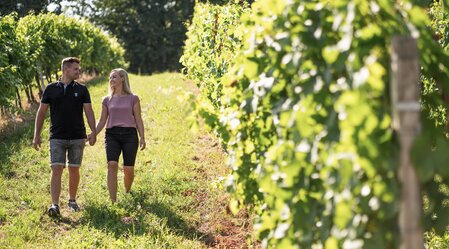 Weinwandern im Thermen- & Vulkanland | © Thermen- & Vulkanland | Kump Photography