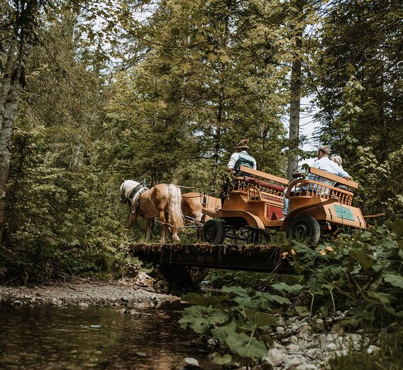 © Katrin Kerschbaumer Photography | Katrin Kerschbaumer Photography
