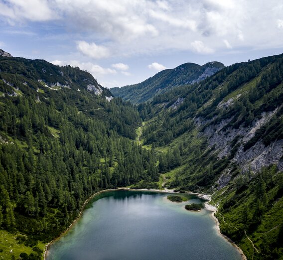 © Tom Lamm | ikarus.cc | Tom Lamm