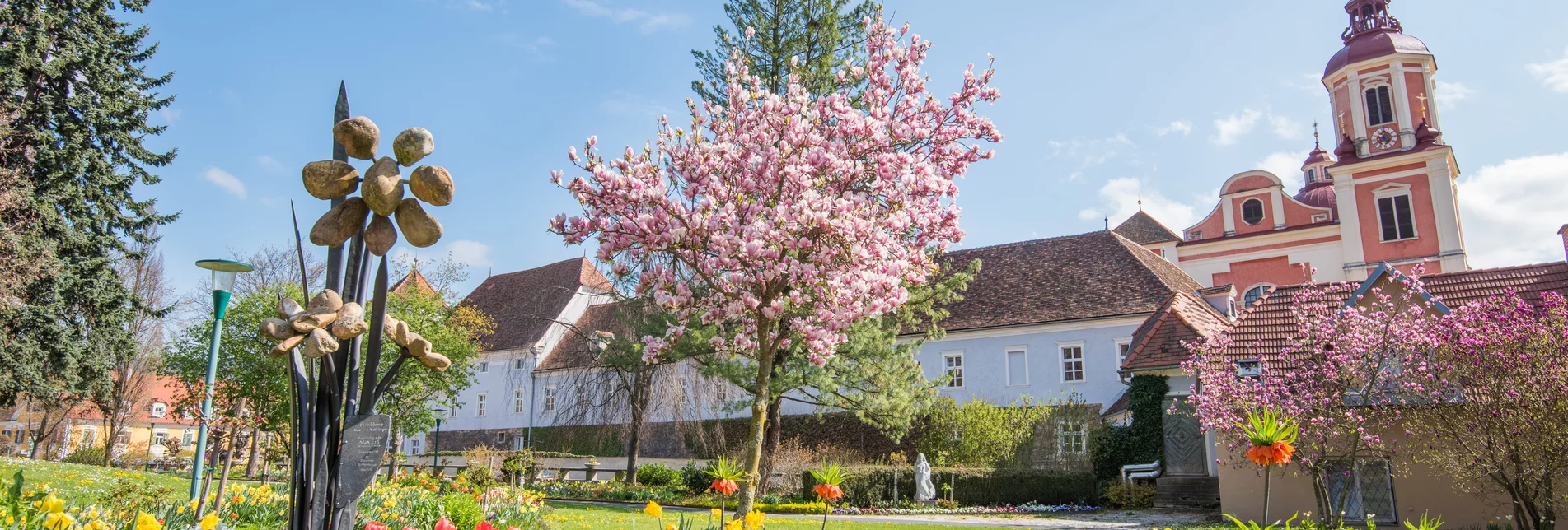 Blühende Bäume im Schlosspark Pöllau in der Oststeiermark Blühende Bäume im Schlosspark Pöllau in der Oststeiermark