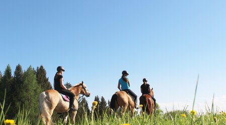 Ausritt beim Narnhoferwirt in der Oststeiermark | © Karin Leitner | Das Leitner