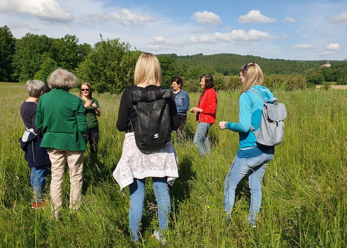 Kräuterwanderung mit Kräuterpädagogin Julia | © 
Oststeiermark Tourismus | Anja Reichenbäck