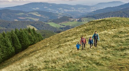 Wandern mit der Familie im Almenland | ©  Oststeiermark Tourismus | Markus Lang-Bichl