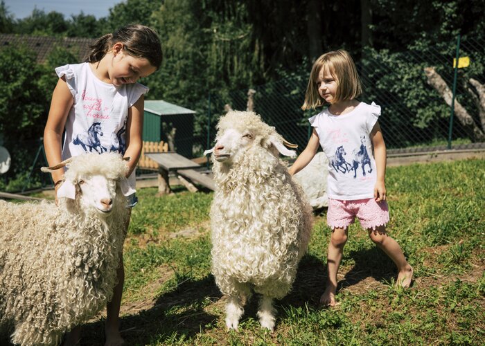 Kinder streicheln Schafe in der Steiermark | ©  Oststeiermark Tourismus | Bernhard Bergmann