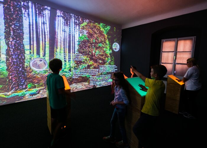 NaturLese-Museum Wald | © Verein Naturpark Zirbitzkogel-Grebenzen |  tricky.pics