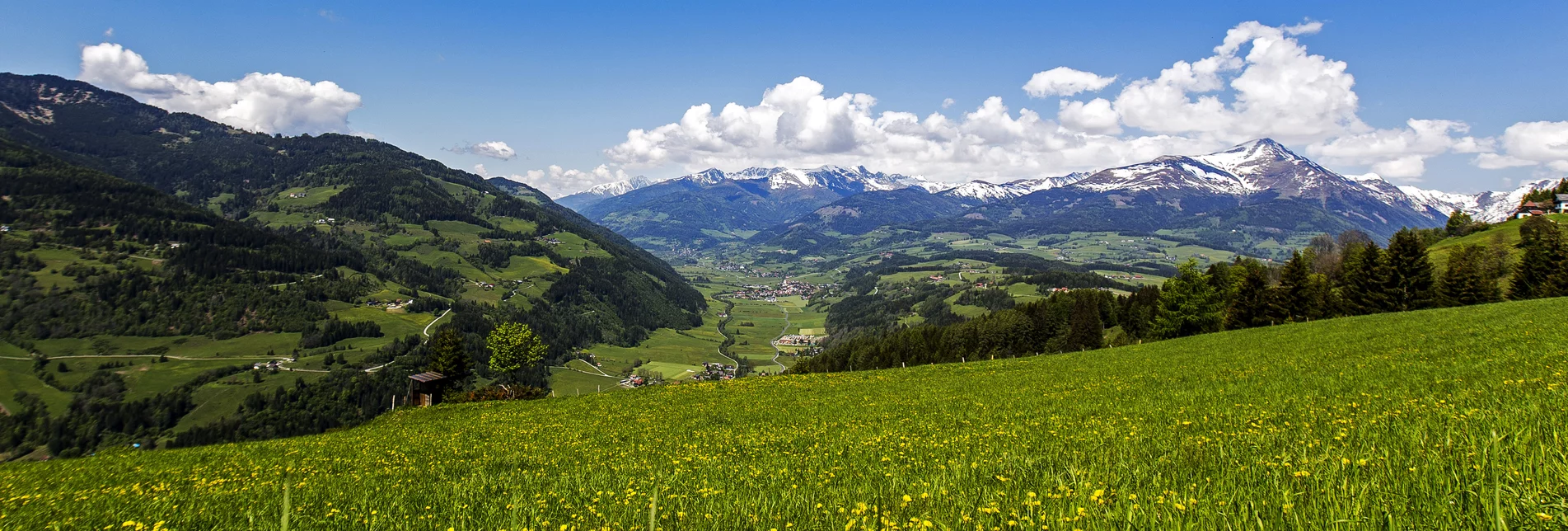 Blumenwiese | © TV Murau | Tom Lamm