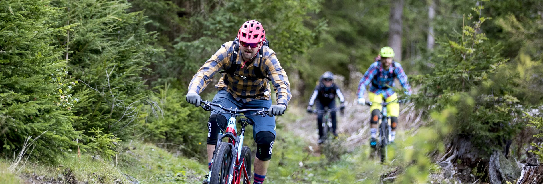 Mühlsteinbodentrail Wald | © TV Murau | Tom Lamm