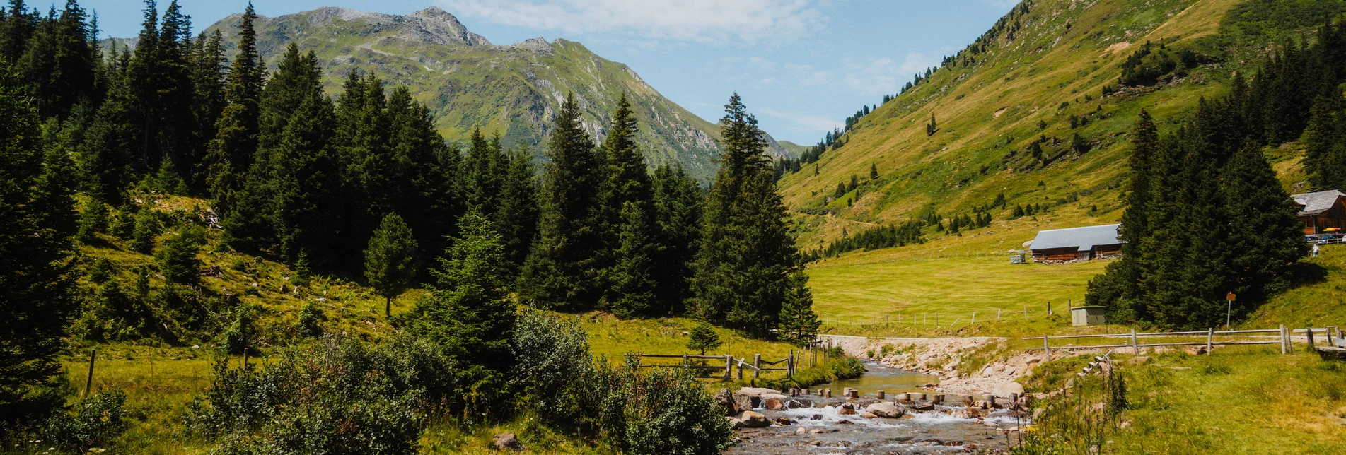 Eselsberger Alm | © TV Murau | cmvisuals