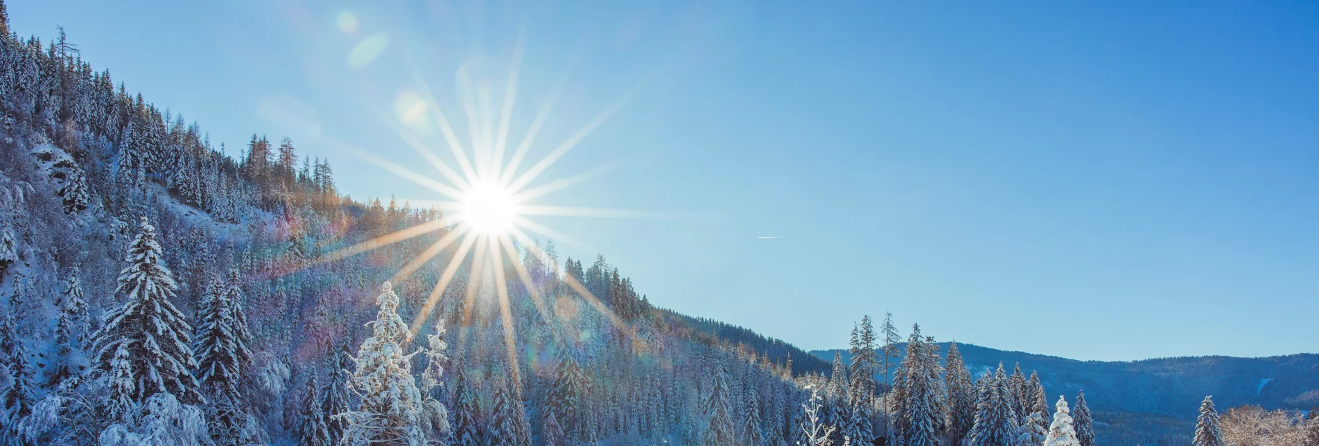 Loipe mit Sonnenschein im Hintergrund