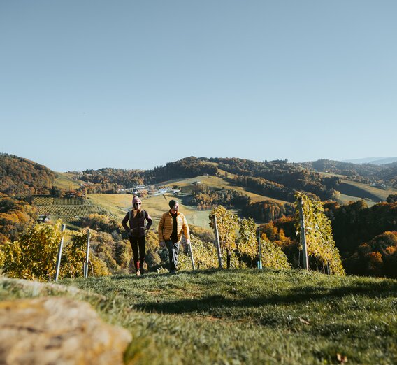 Herbstliche Wanderung in der Südsteiermark | © TV Südsteiermark | /Press/MediaCopyright-autocreated/Lukas Elsneg-autocreated-1651586692-166789