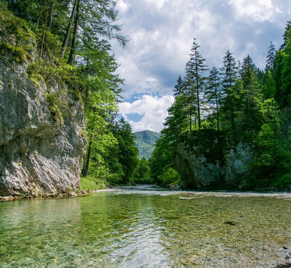 Sommer im Naturpark | © Naturpark Mürzer Oberland | nicoleseiser.at