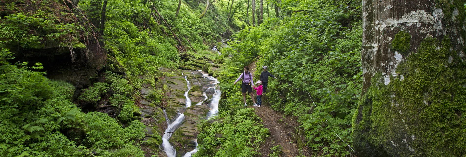 PackageGenusswandern in den Weinbergen der Südsteiermark -  | © Steiermark Tourismus