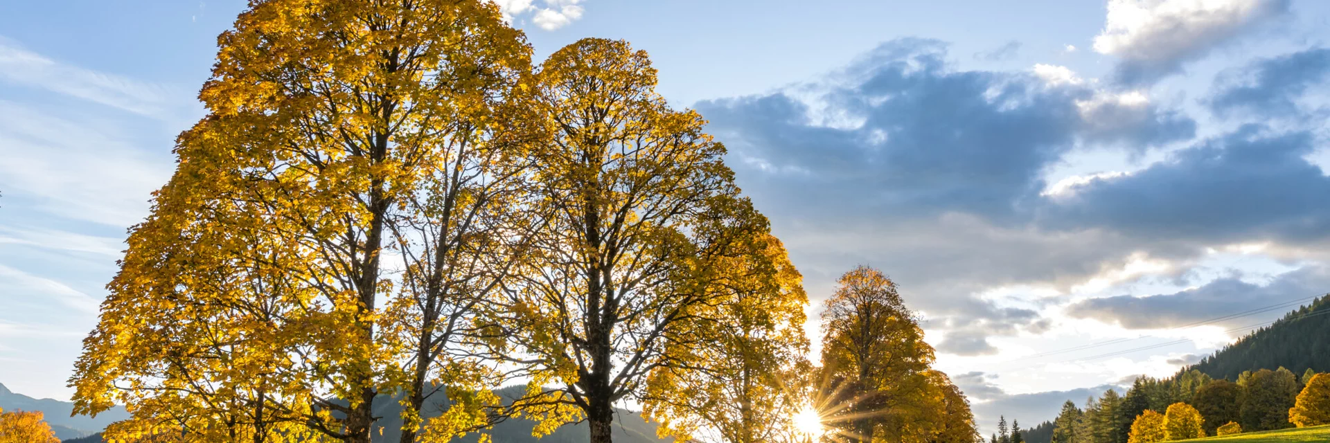 THEMENBILD, Goldener Herbst | © (c) Martin Huber - all rights reserved | Martin Huber THEMENBILD, Goldener Herbst | © (c) Martin Huber - all rights reserved | Martin Huber