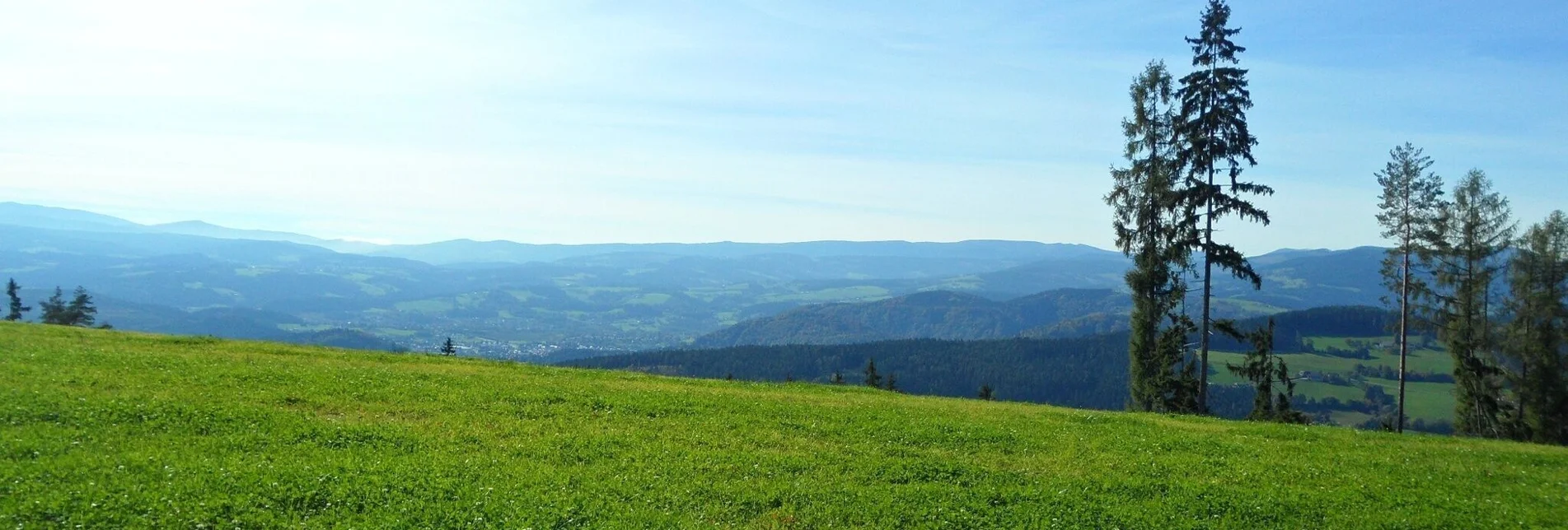 Radfahren Hügeltour Lipizzanerheimat - Touren-Impression #1 | © Region Graz