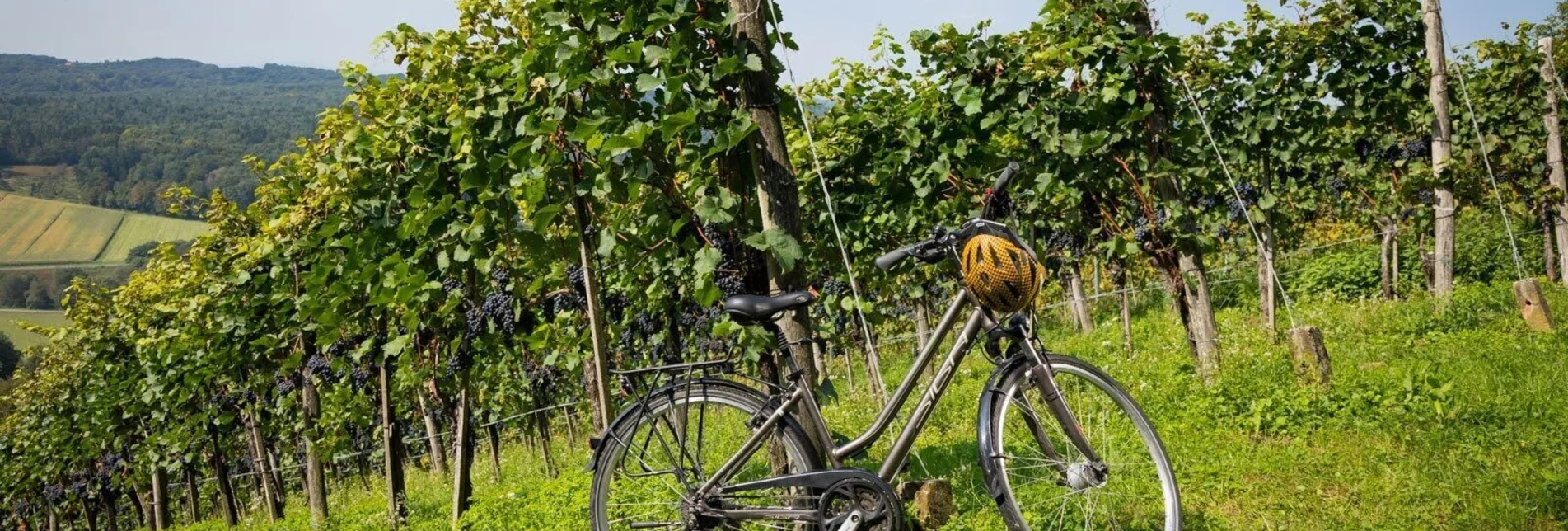 Radfahren Kraftquellen-Tour - Touren-Impression #1 | © Erlebnisregion Thermen- & Vulkanland