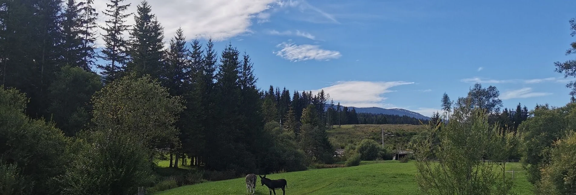 Wanderung Obersdorfer Rundweg - Touren-Impression #1