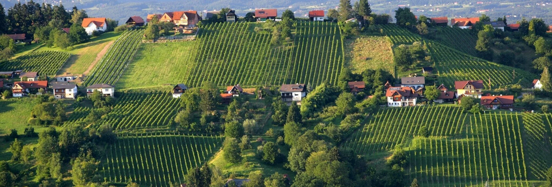 Wanderung Buschenschankweg Bad Schwanberg Nr. 6 - Touren-Impression #1 | © Steiermark Tourismus/Harry Schiffer