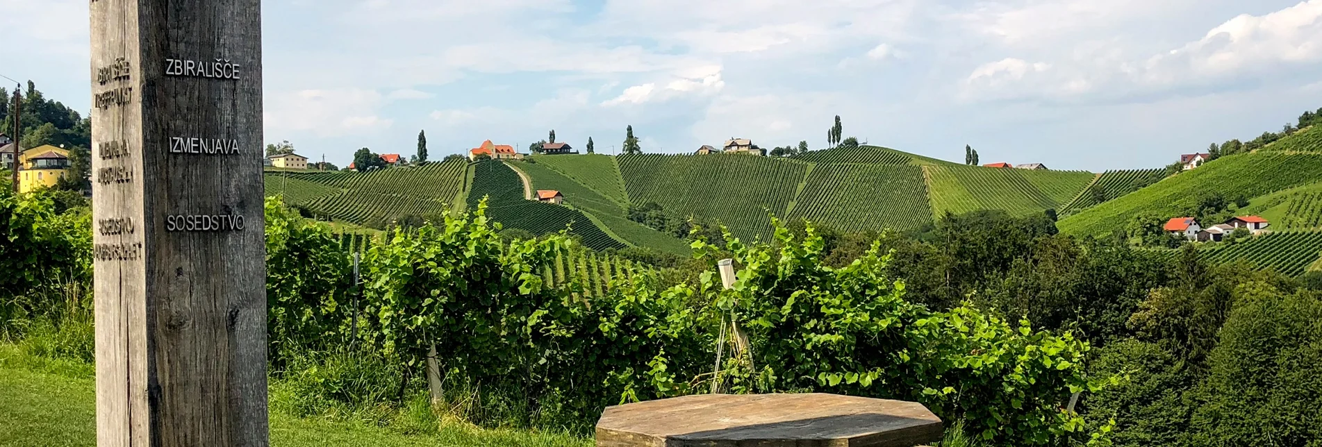 Hiking route Stage 23 From Glacier to Wine South Route Leutschach - Ratsch an der Weinstraße - Touren-Impression #1 | © (c) Steiermark Tourismus/Martina Traisch