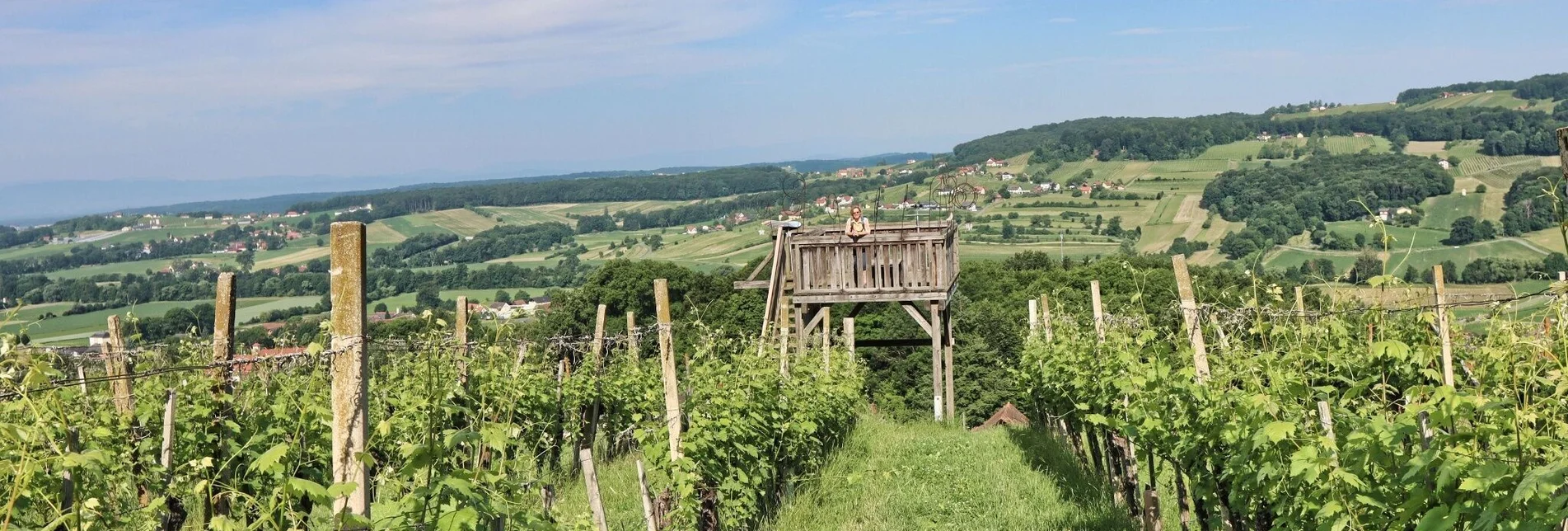 Hiking route TAU - path of the vineyards (TAU - Weg der Riede) - Touren-Impression #1 | © Thermen- & Vulkanland