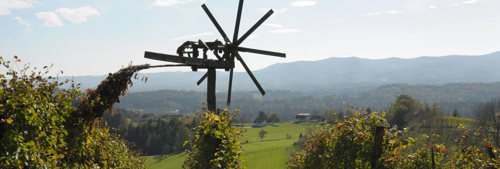 Wanderung Weingartenweg Wies - Touren-Impression #1 | © TV Südsteiermark