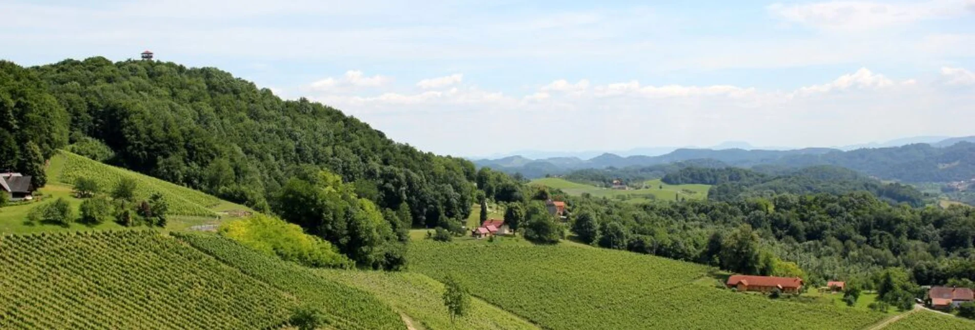 Radfahren Genussradeln-Weinstraßen Tour Variante 2 Ratsch - Touren-Impression #1 | © Südsteiermark