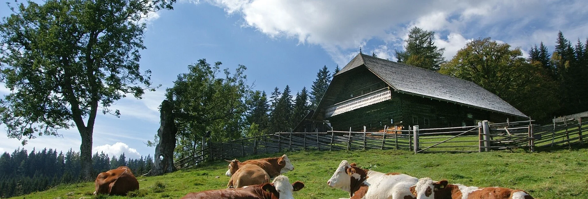 Familienwanderwege Rosegger Almrunde - Touren-Impression #1 | © TV Hochsteiermark