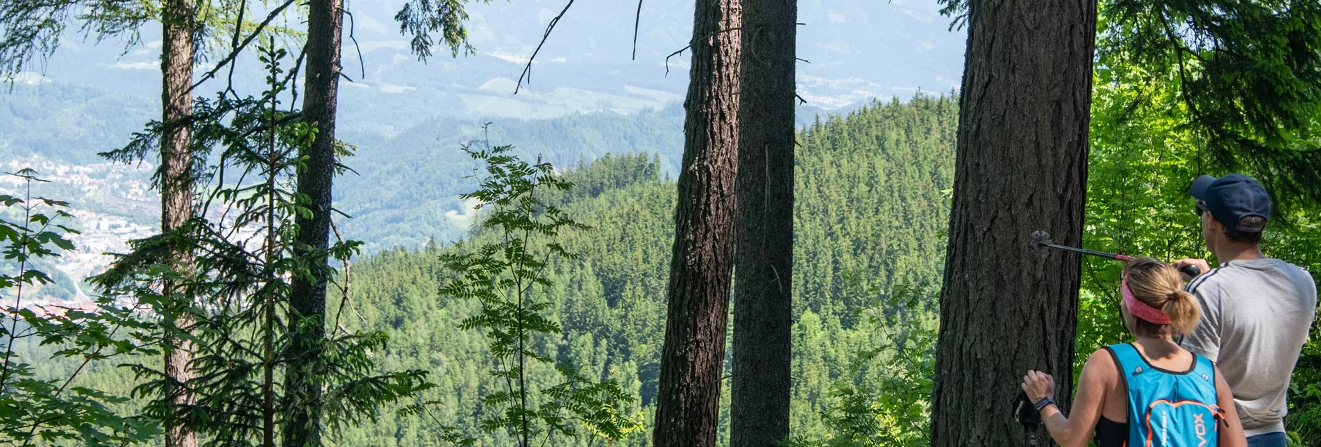 Hiking route Bruck Heuberg Loop - Touren-Impression #1 | © Tourismusverband Bruck an der Mur