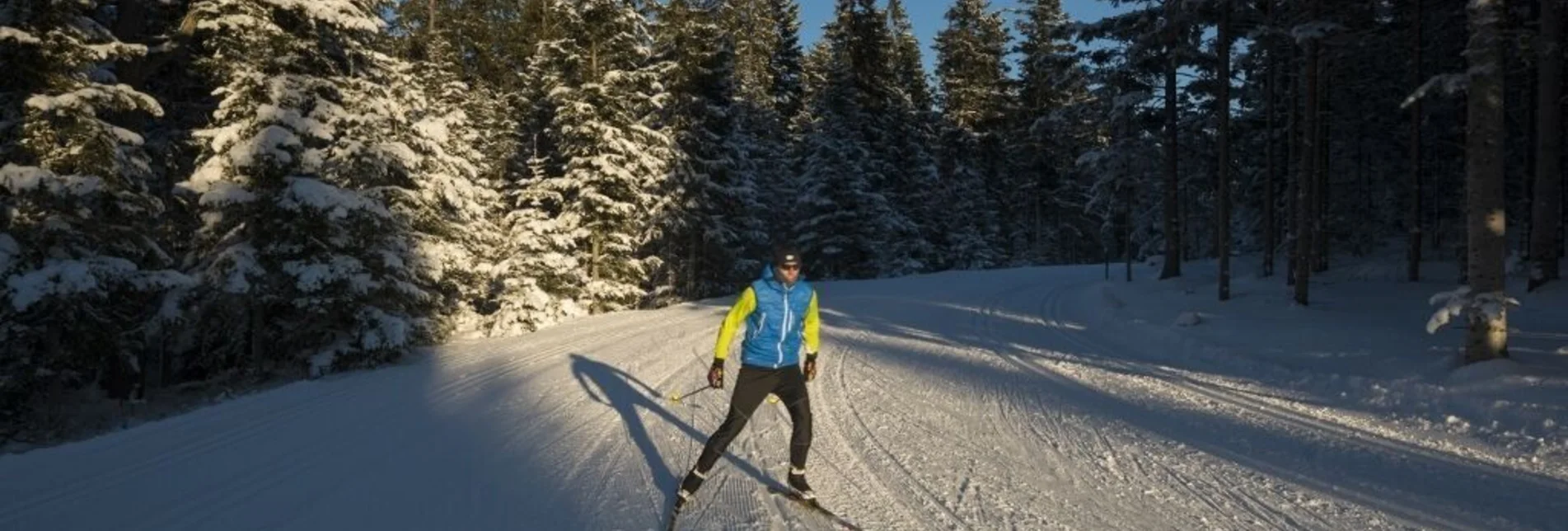 Ski nordic skating Sport trail VII Joglland trail - Touren-Impression #1 | © GH Orthofer