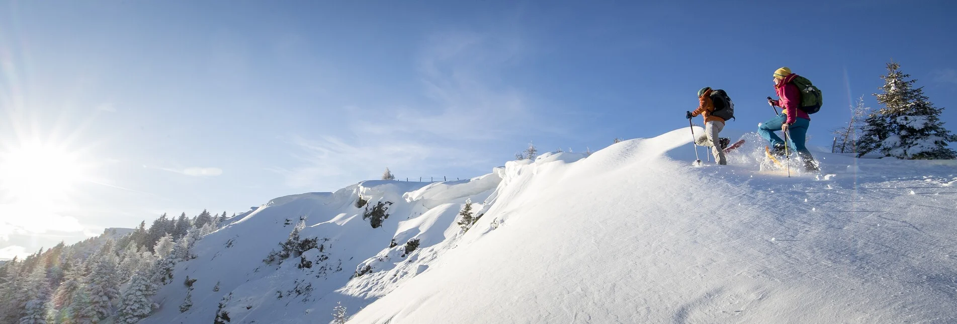 Snowshoe walking Frauenalpe - via the Troghütte to the summit & back via Oberberg - Touren-Impression #1 | © TVB Murau