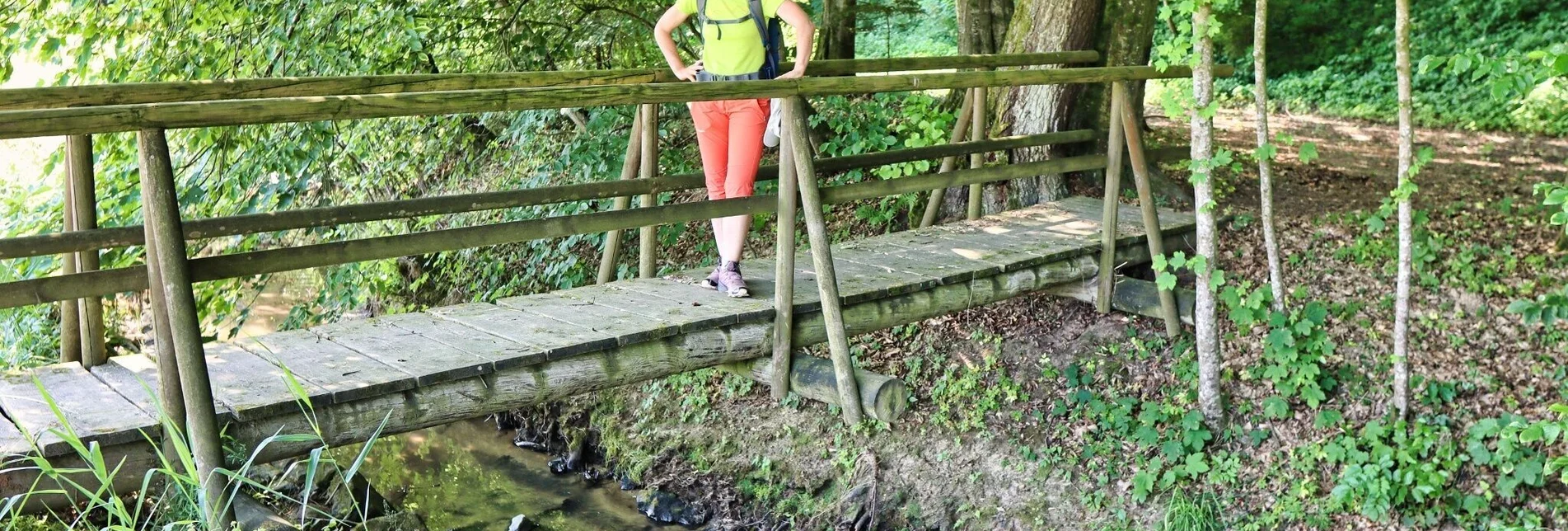 Wanderung Rundweg 2 (Badenbrunn) des 5-Elemente-Weges - Touren-Impression #1 | © Thermen- & Vulkanland