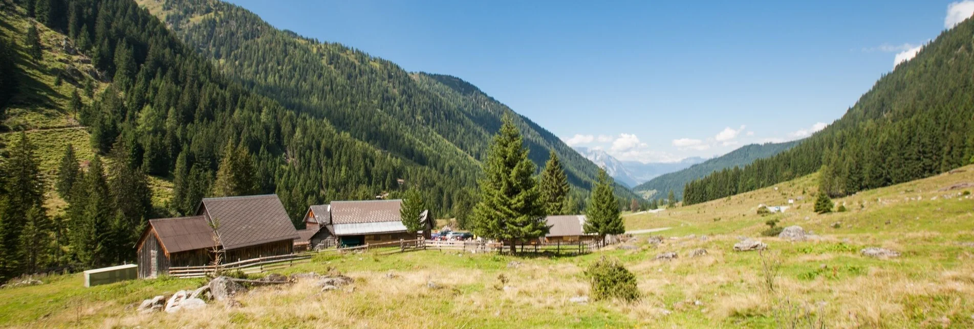 Mountainbike Planneralm Runde (mit Lademöglichkeit) | 317 - Touren-Impression #1 | © Planneralm - Tom Lamm