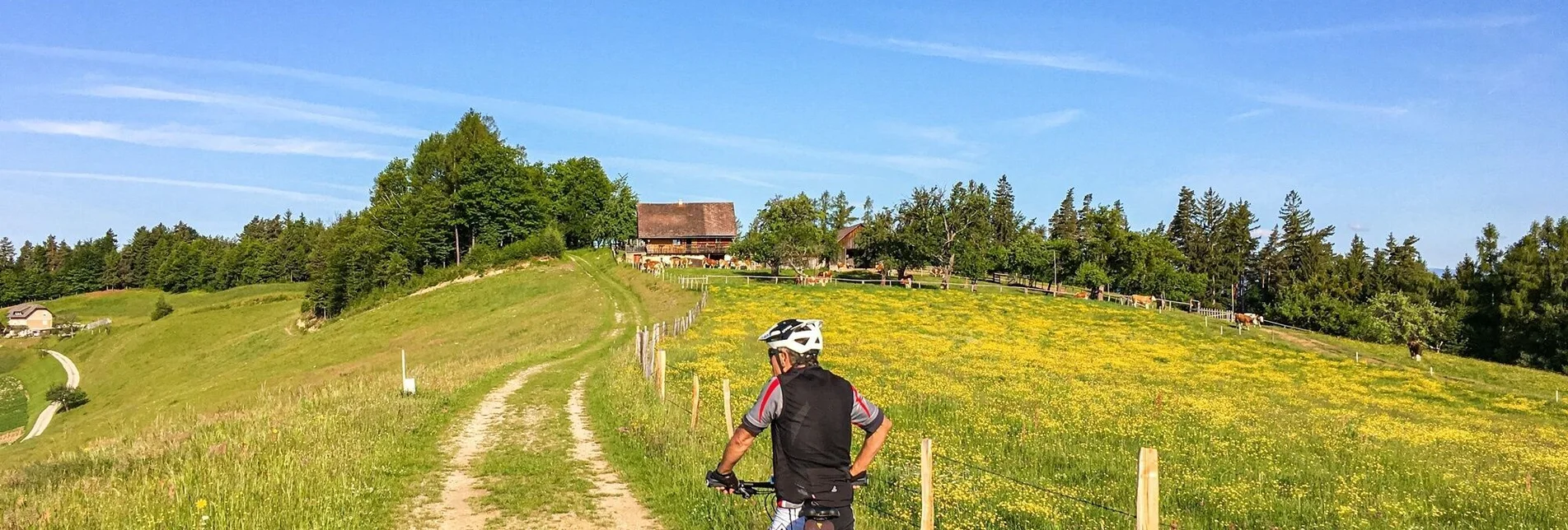 Mountainbike Remschniggalm, Nr. 116 - Touren-Impression #1 | © Südsteiermark