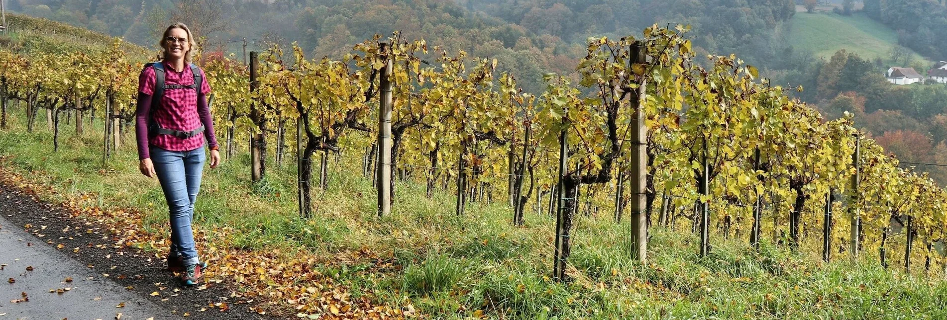 Wanderung Wein- und Turmweg in St. Peter am Ottersbach - Touren-Impression #1 | © Thermen- & Vulkanland