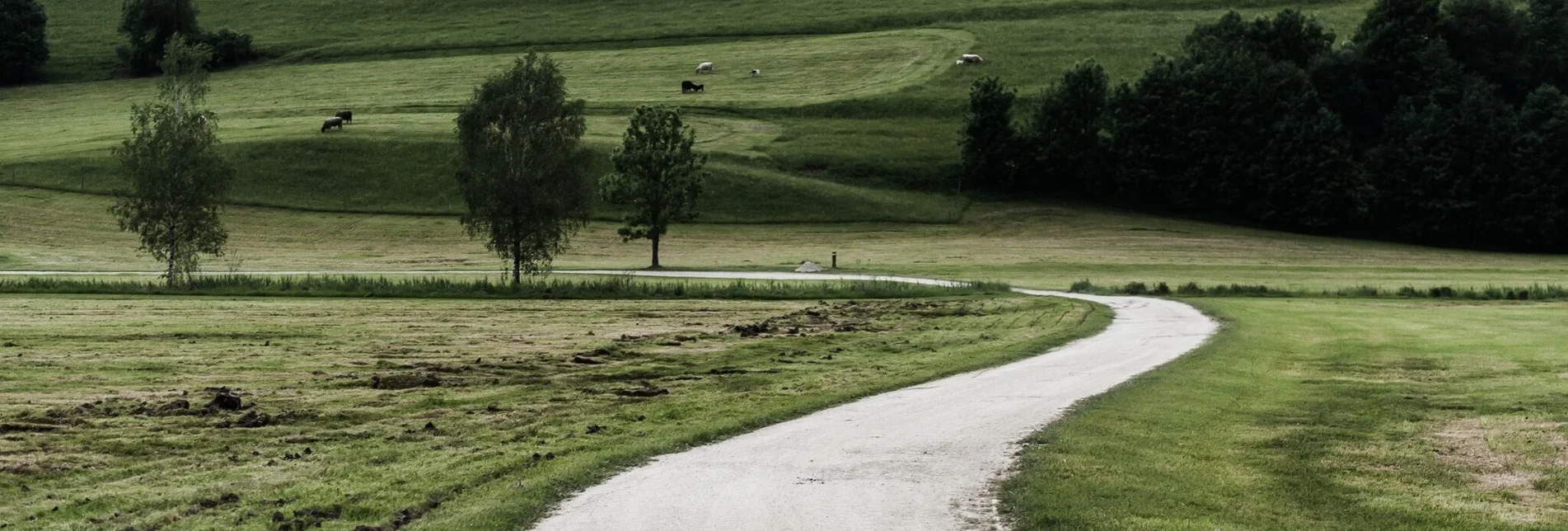 Hiking route Kulmrundweg - Touren-Impression #1 | © Erlebnisregion Schladming-Dachstein