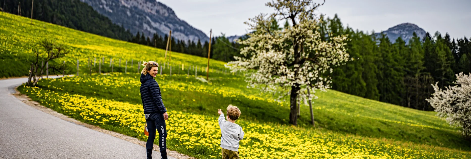 Wanderung Birnberg-Rundweg - Touren-Impression #1 | © Gerhard Pilz