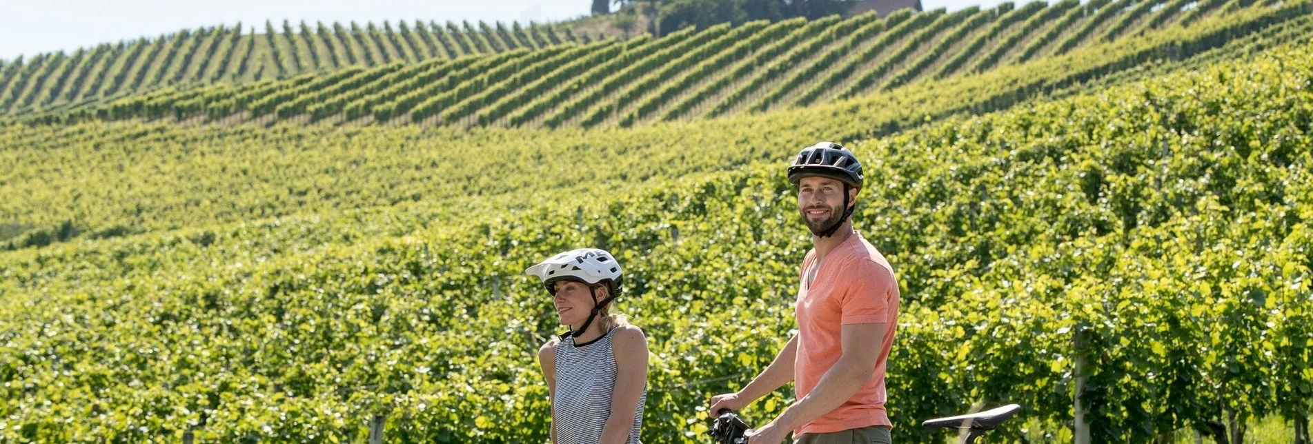 Radfahren Weinstraßenausfahrt-Kreuzberg-Saggautal-Remschnigg - Touren-Impression #1 | © TRV Süd- und Weststeiermark