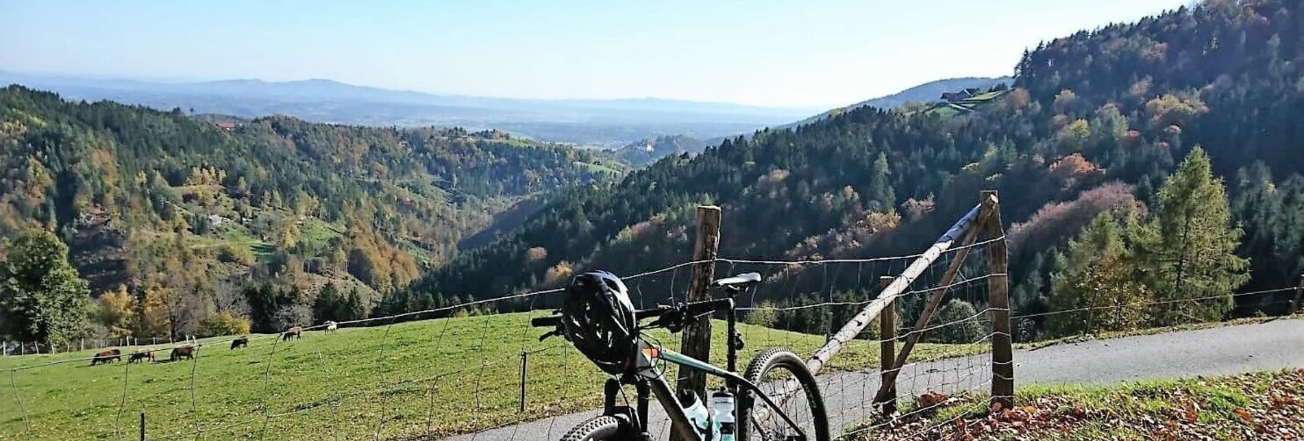 Mountainbike Bad Schwanberg-St. Anna-Wirtbartl-Tour Nr. 310 - Touren-Impression #1 | © Südsteiermark