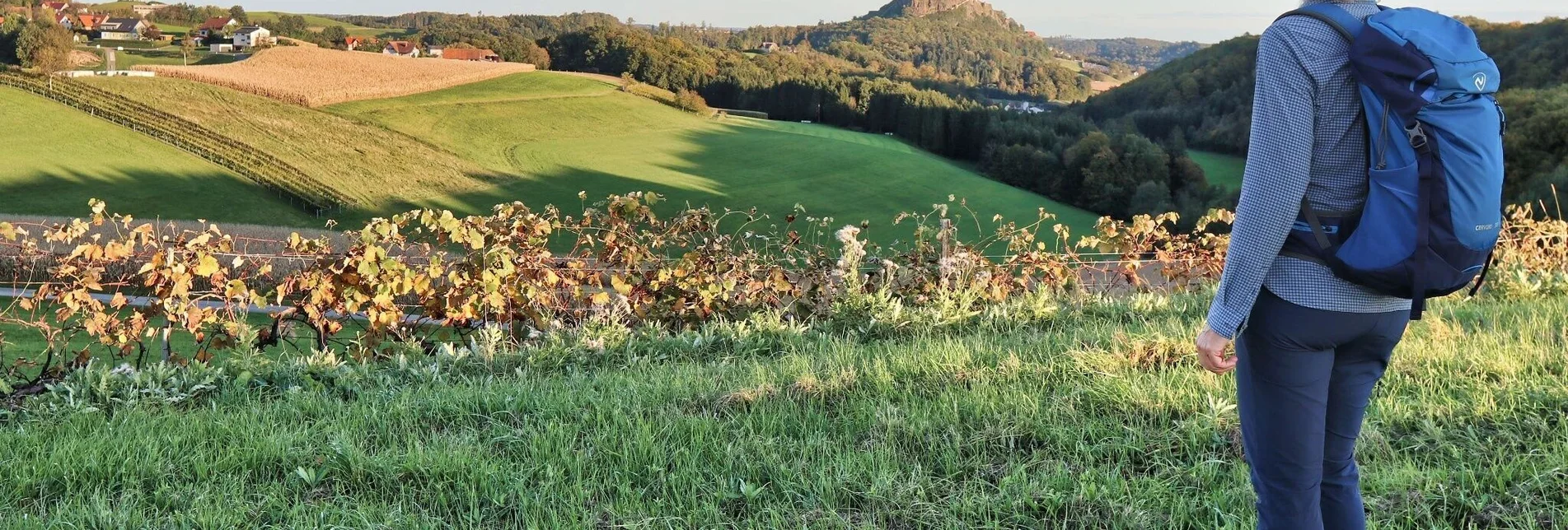 Wanderung Zotter-Schleife Genusswanderweg Riegersburg - Touren-Impression #1 | © Thermen- & Vulkanland