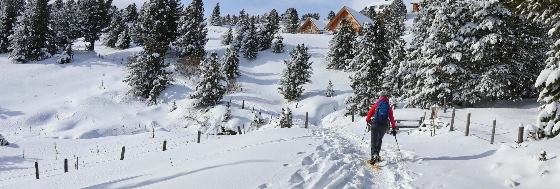 Schneeschuh Schneeschuhwanderung - Lavantursprung von der Waldheimhütte - Touren-Impression #1 | © Weges OG