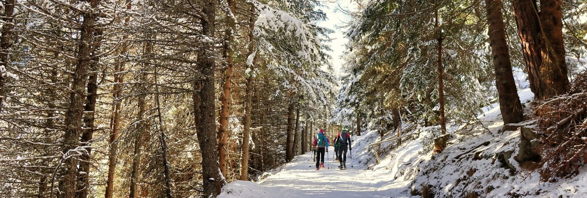 Snowshoe walking Snowshoe tour from Alpengasthof Sabathy on the Zirbitzkogel - Touren-Impression #1 | © Weges OG