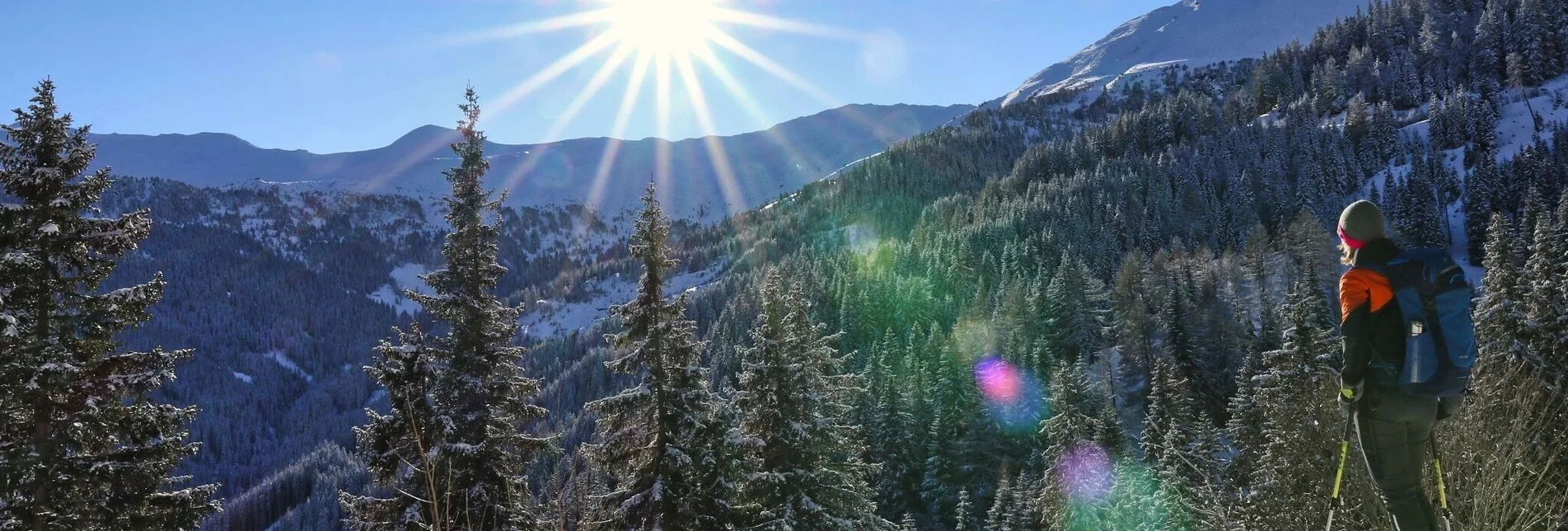 Snowshoe walking Snowshoe hike Wildalm - Touren-Impression #1 | © Weges OG