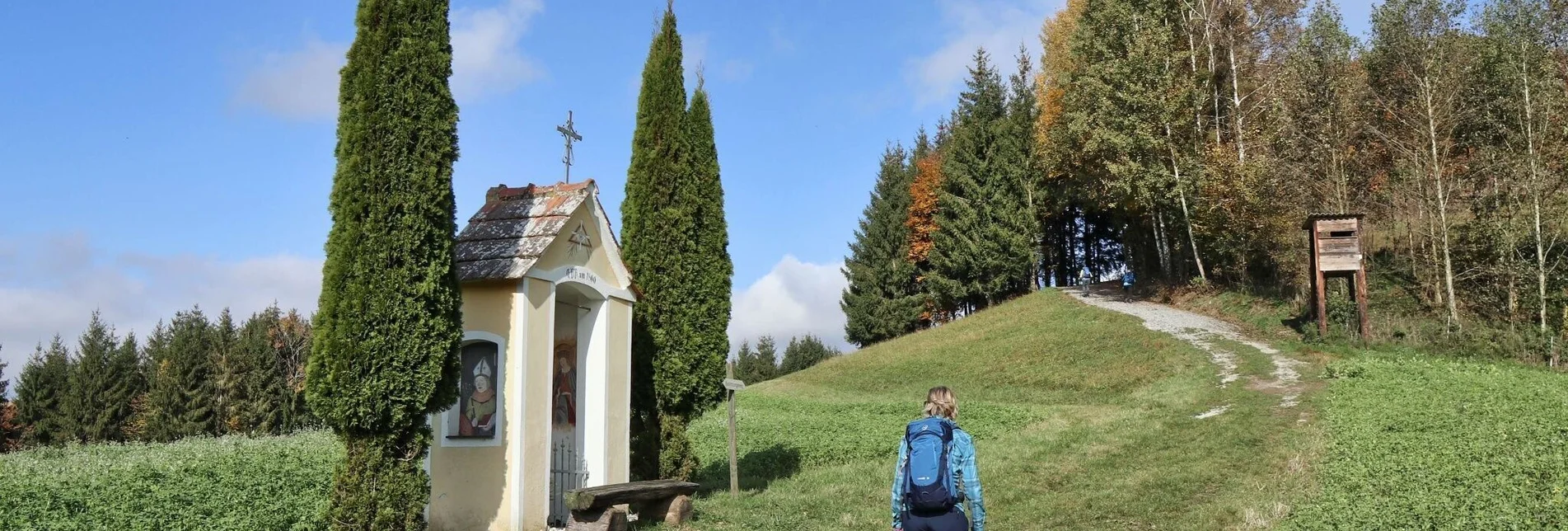 Wanderung Rundwanderung Eichkögl und Fladnitzberg - Touren-Impression #1 | © Thermen- & Vulkanland