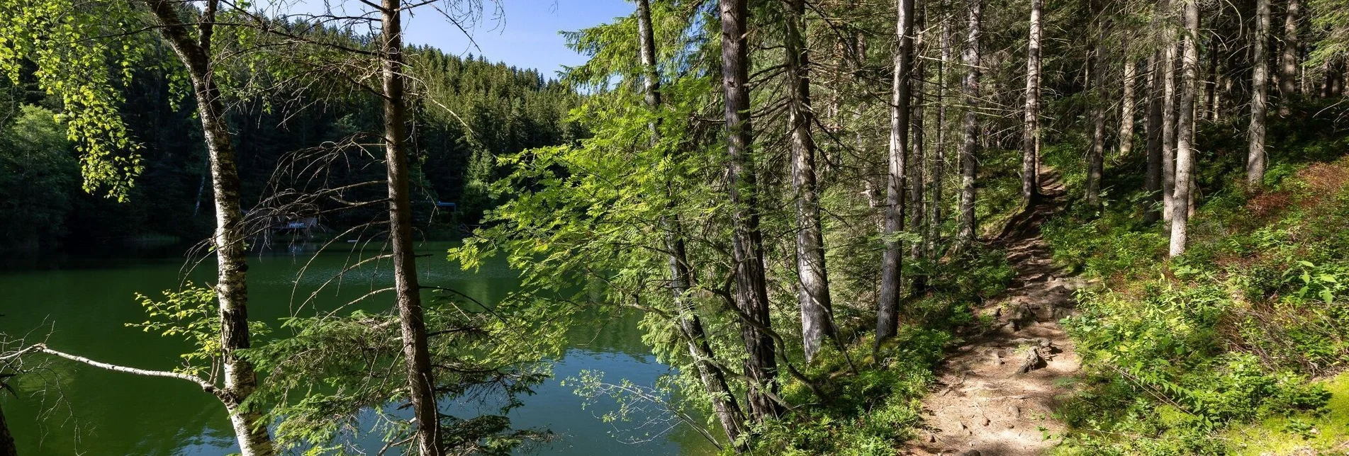 Wanderung Wandern beim Hirzmann Stausee - Touren-Impression #1 | © Region Graz